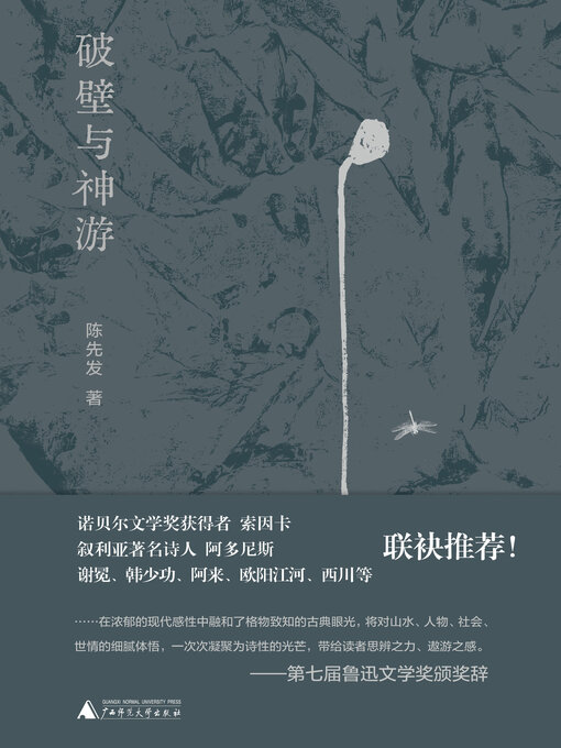 Cover image for 破壁与神游